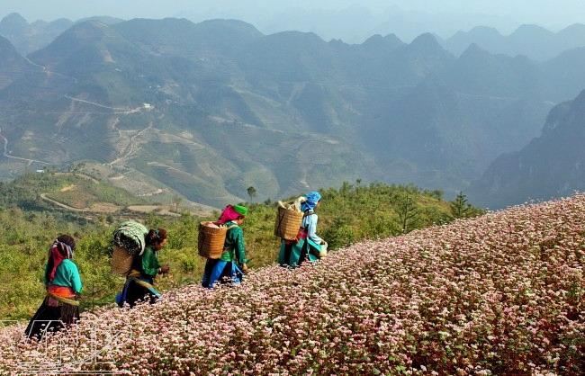 Tour du lịch Vòng Cung Đông Bắc.jpg