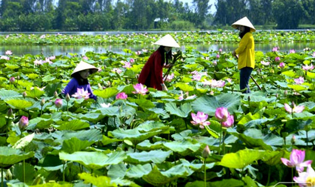 Làng nổi Tân Lập